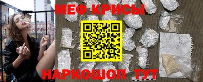 стафф Кингисепп