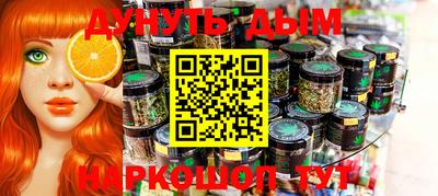 стафф Кингисепп
