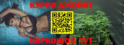 стафф Кингисепп