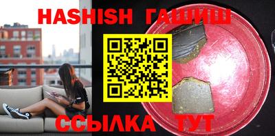 стафф Кингисепп
