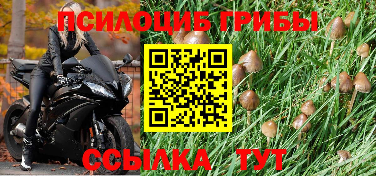 Галлюциногенные грибы мухоморы Камень-на-Оби