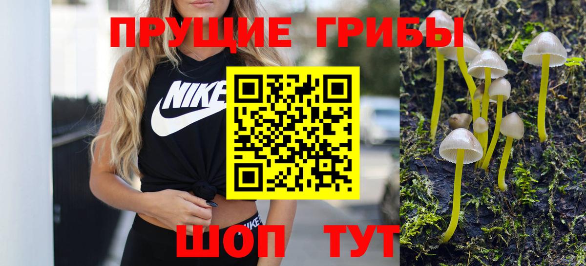 Псилоцибиновые грибы ЛСД  Вход с VPN  Камень-на-Оби 