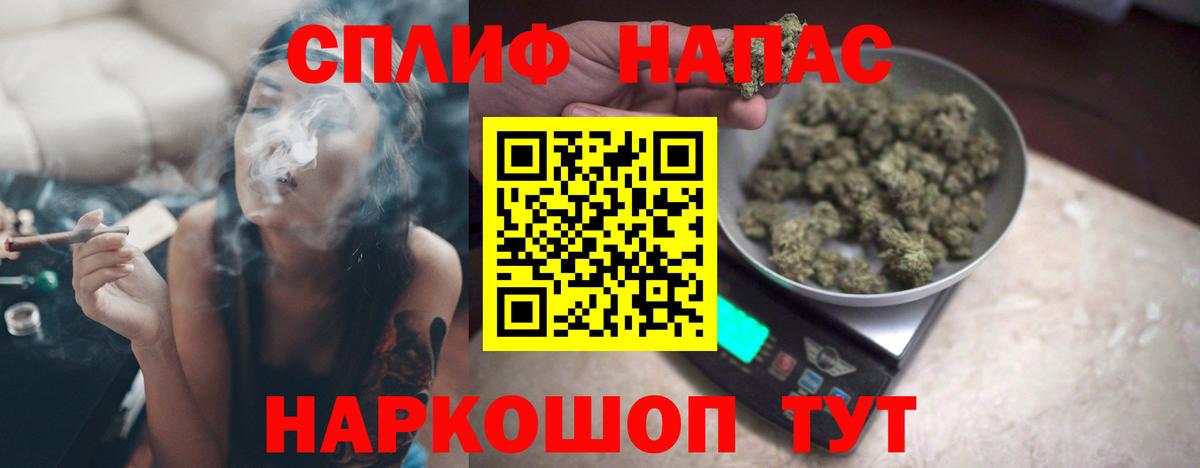 Бошки Шишки план Камень-на-Оби